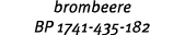 brombeere BP 1741 435 182
