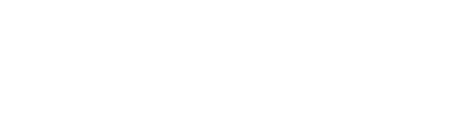 Sie suchen den perfekten Allrounder f r Ihr Team? Hier ist er!