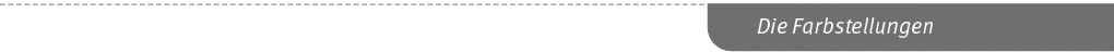 Die Farbstellunge